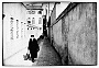 via Belzoni - il Portello 1951-1956 44